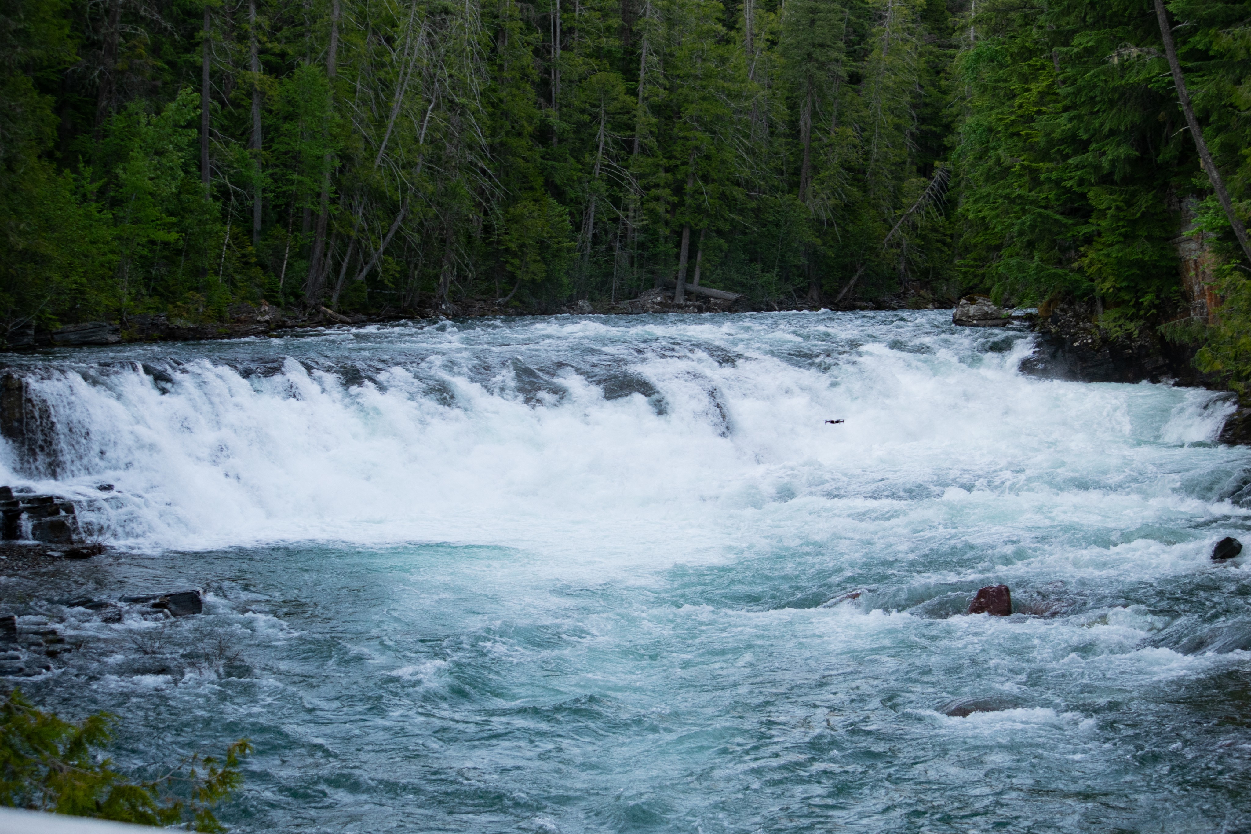 Photo 51